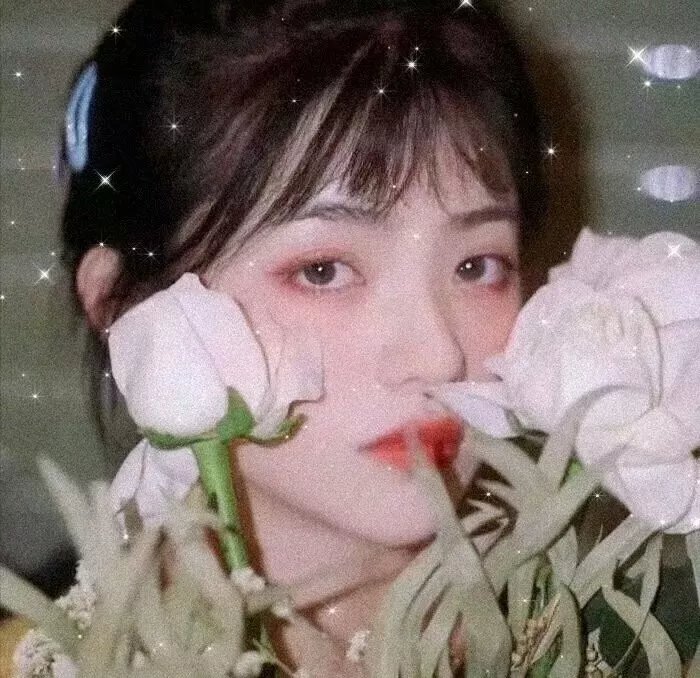 女巡特警之蜂鸟突击队